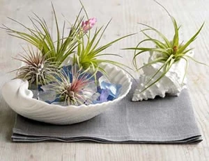 Feng Shui dekoracija kupaonice